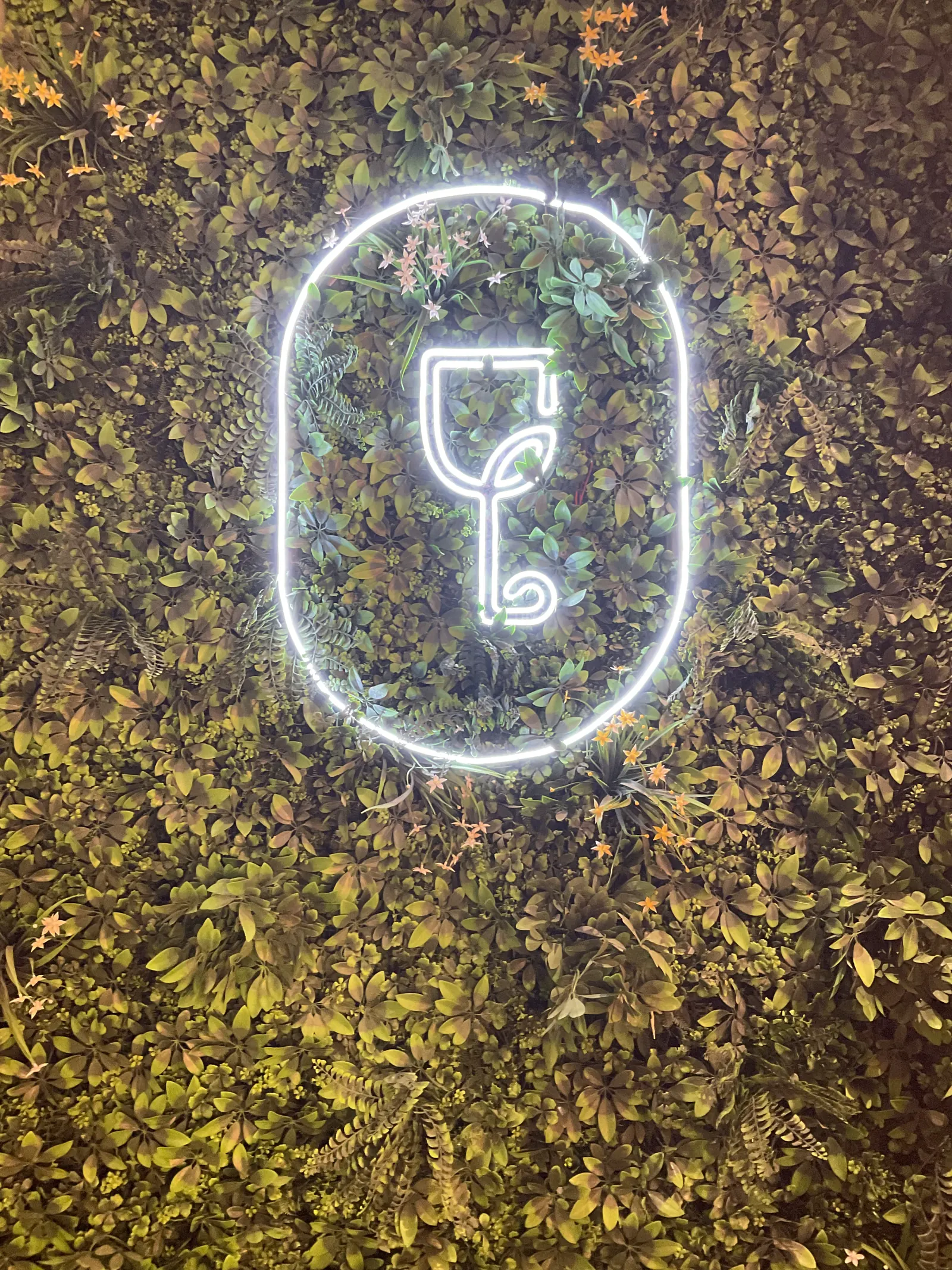 Ultra-Luxury-fillip-Liquor-Store-interior-&-exterior-design-next-bc